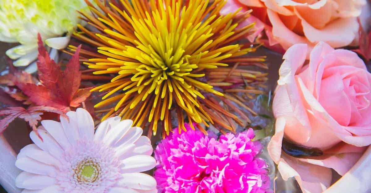 Eau de fleur d’oranger et sommeil : Quels sont ses bienfaits ?