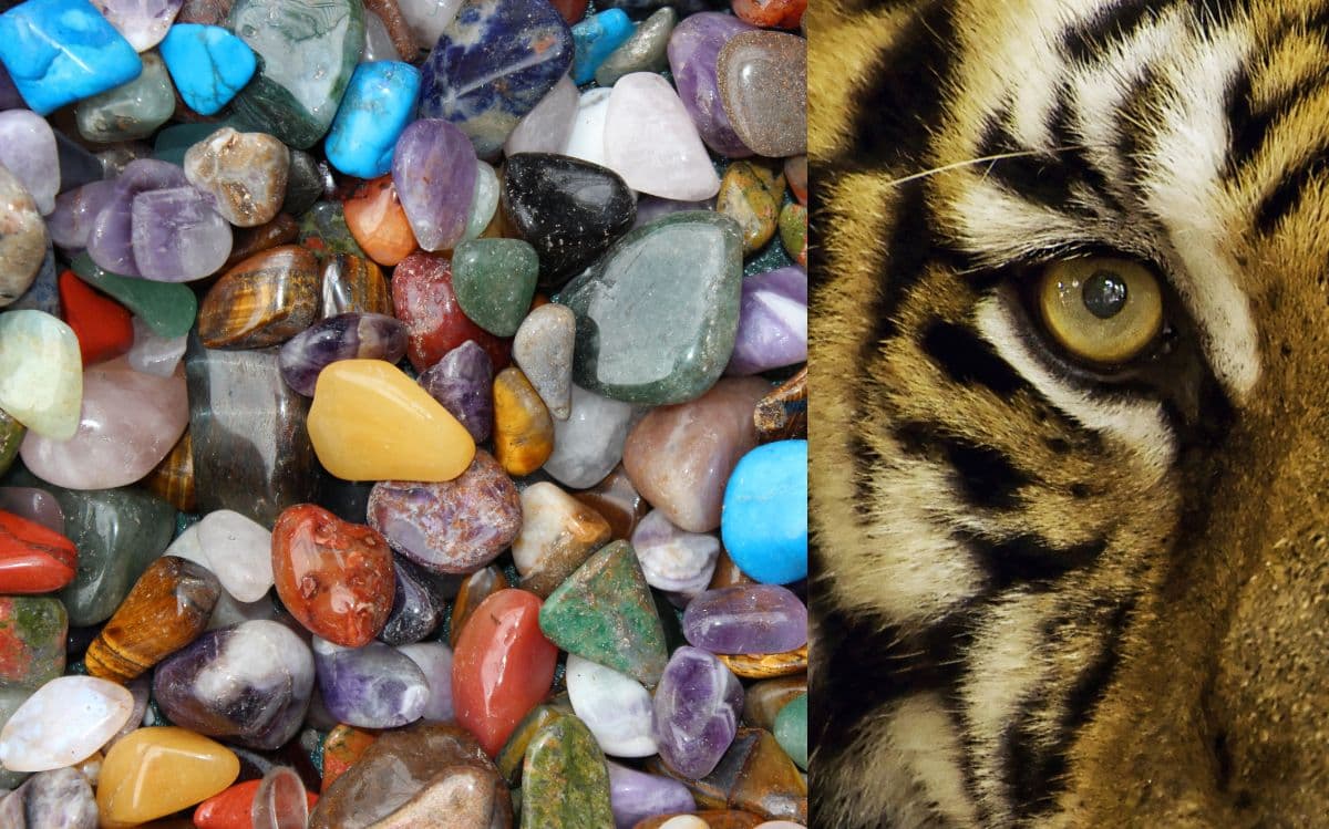Peut on dormir avec l’oeil de tigre ?