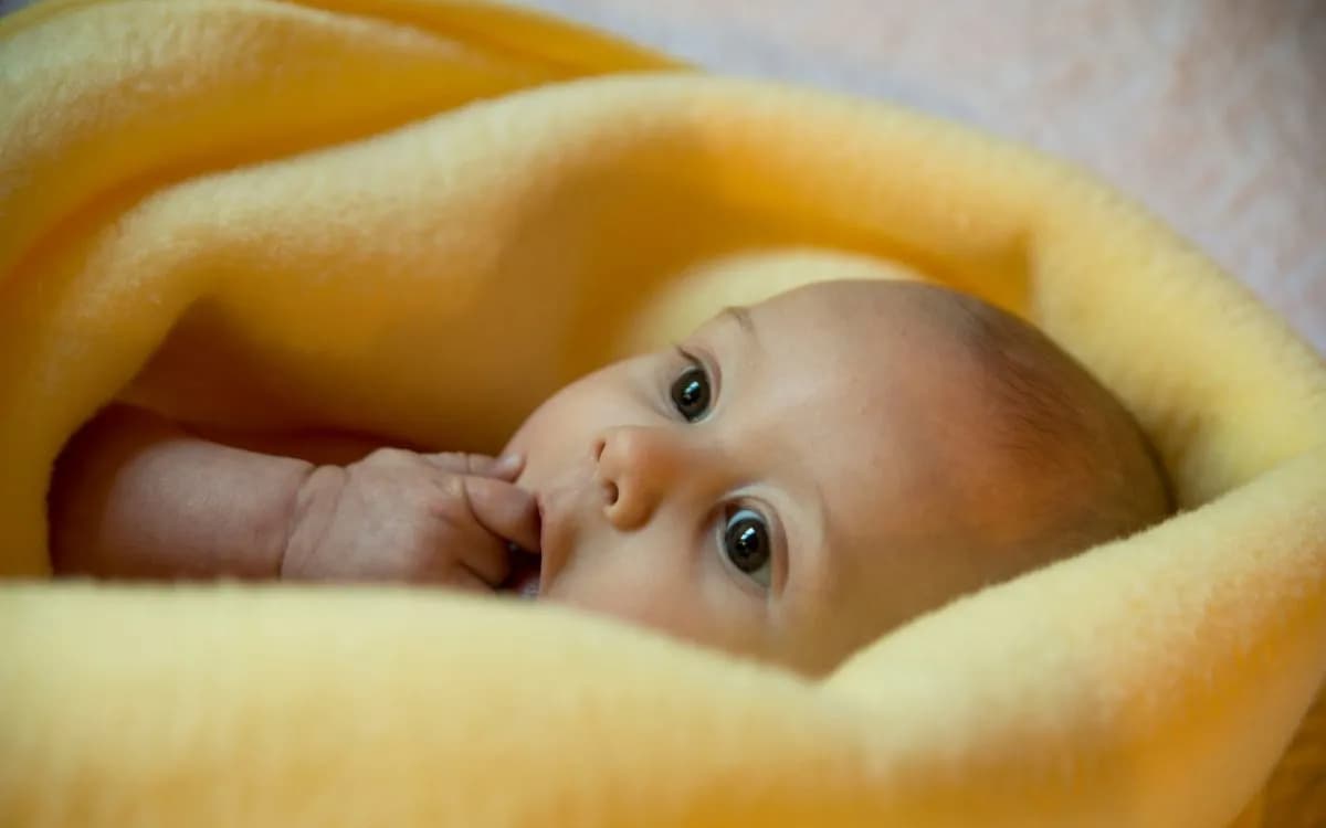 Le Guide Ultime pour Choisir la Couverture polaire pour Bébé