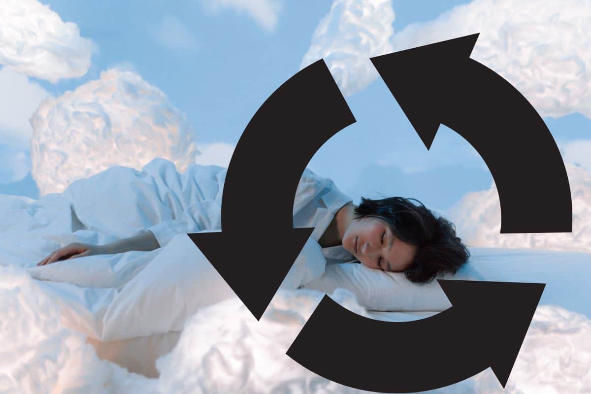 Combien de Cycles de Sommeil par Nuit pour être en Forme ?