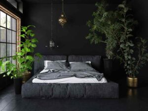 Dormir avec une Plante dans sa Chambre : Bienfaits et Conseils